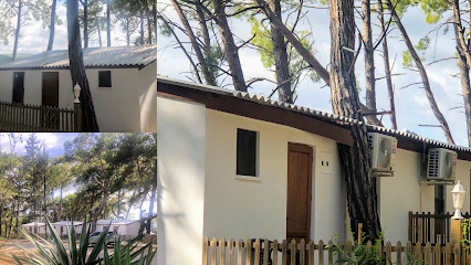 Mutlu Tatil Köyü Yerel İşletme fotoğrafı 1