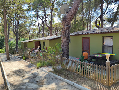 Mutlu Tatil Köyü Yerel İşletme fotoğrafı 5